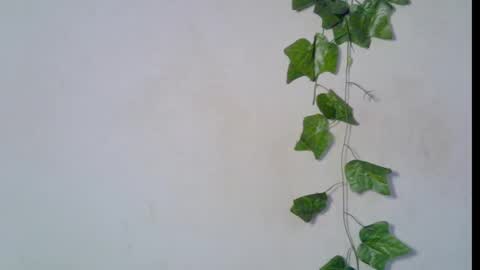 nikky00 online show from 03.08.26