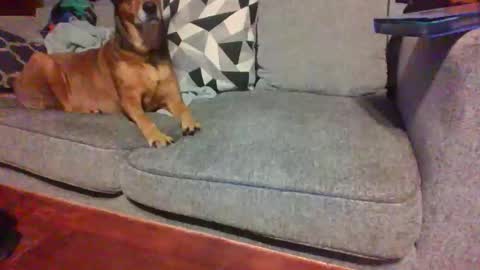 Snapshot of blaw_1321 chatting on 11.14.25 blaw_1321 online show from 11.14.25