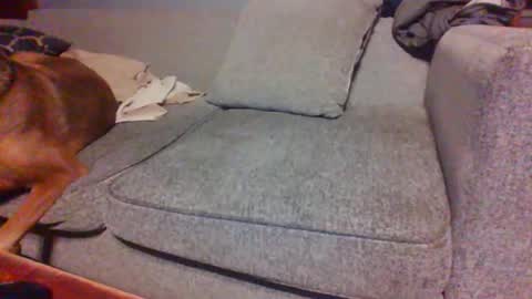 blaw_1321 online show from 04.14.26