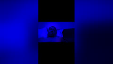 blkcoxk online show from 04.04.26