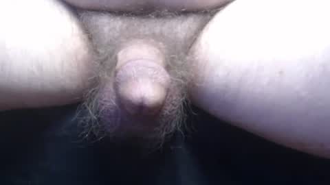 bluebee420 online show from 11.13.25