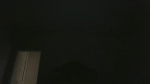 bluemoose70 online show from 01.11.25