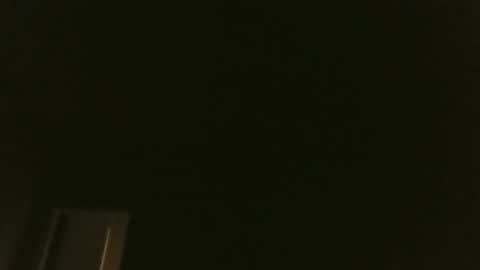 bluemoose70 online show from 01.31.25