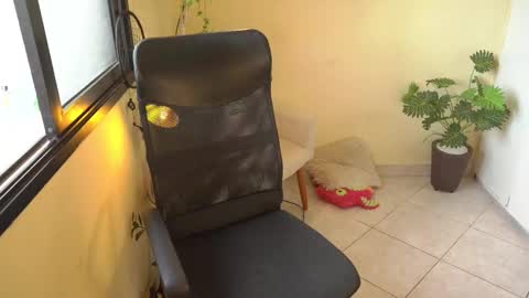 FLORAA online show from 02.11.25