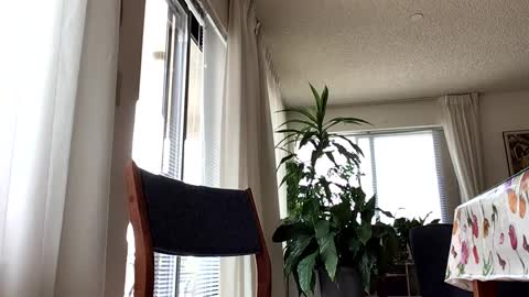 Blueyedudeseattle online show from 09.21.25