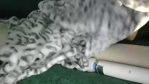 Snapshot of blyss666 chatting on 10.28.25 lyss online show from 10.28.25