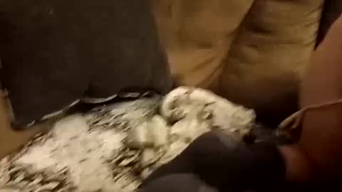 Snapshot of bnaa2m chatting on 09.28.25 Assdrtyasuwant online show from 09.28.25