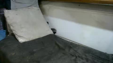 boatfun56 online show from 02.12.26