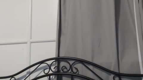 bob online show from 12.15.24