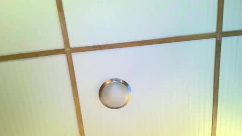 Snapshot of bodacioustits chatting on 11.02.25 bodacioustits online show from 11.02.25