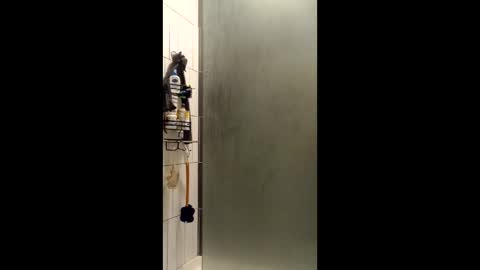 Snapshot of bodyyattiyatti chatting on 12.15.25 Sailorartemis online show from 12.15.25