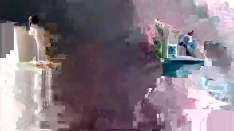 bolbil1 online show from 01.12.25