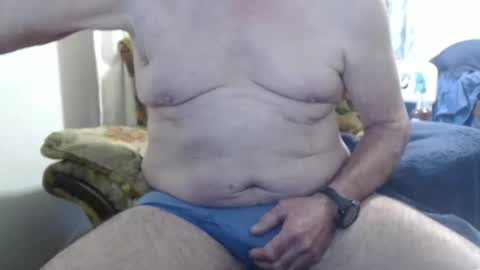 bolbil1 online show from 10.13.25