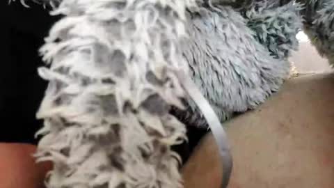 Snapshot of bomberto33 chatting on 02.10.25 Bomberto online show from 02.10.25