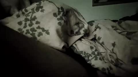 Snapshot of bomberto33 chatting on 02.19.26 Bomberto online show from 02.19.26