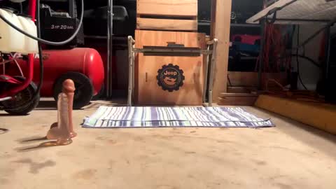 FRECKLES online show from 01.16.25