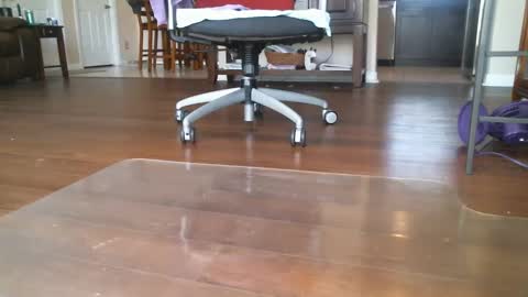 FRECKLES online show from 03.06.25