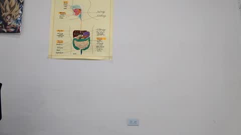 Boner Steve online show from 09.14.25