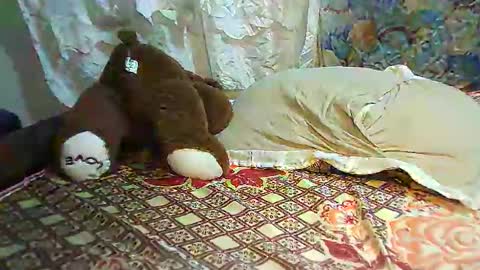 boobvherry online show from 02.11.25