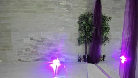 boobzilla_ online show from 02.02.26