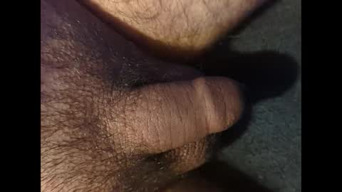 bocchi online show from 02.04.25