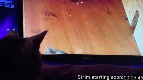 Booker Baxton online show from 02.02.25