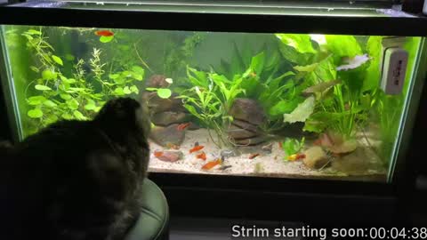 Booker Baxton online show from 02.09.25