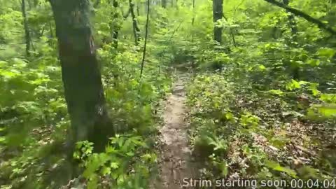 Booker Baxton online show from 11.29.25