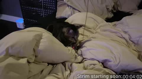 Booker Baxton online show from 12.17.25