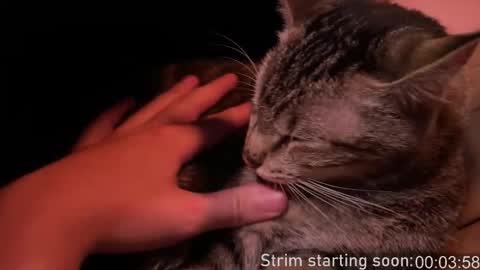 Booker Baxton online show from 02.12.26