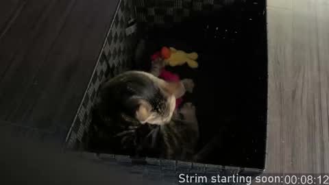 Booker Baxton online show from 02.24.26