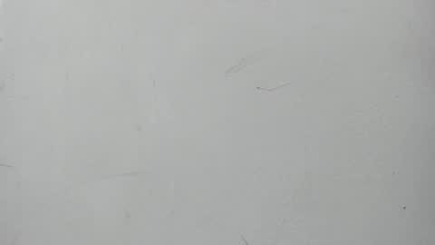 Maggie and Jay  online show from 01.11.25