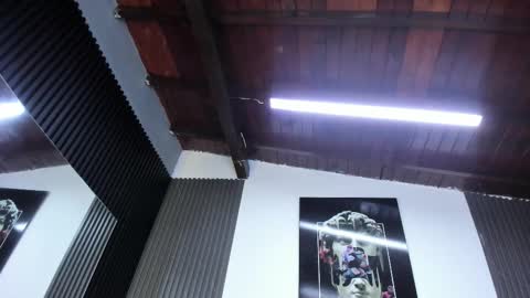   online show from 02.03.26