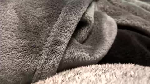 Borderslad1101 online show from 11.23.25