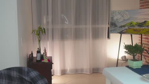 Snapshot of boream_ chatting on 01.21.25 Bream online show from 01.21.25