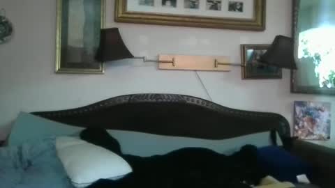 Snapshot of boredaf6678 chatting on 12.16.24 boredaf6678 online show from 12.16.24