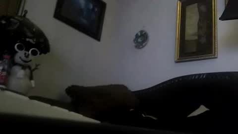 Snapshot of boredaf6678 chatting on 12.23.24 boredaf6678 online show from 12.23.24