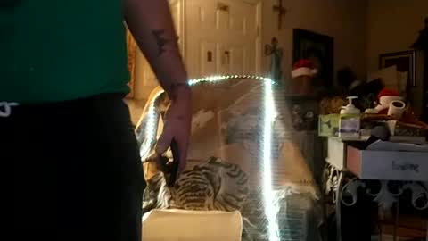 Snapshot of boredaf6678 chatting on 12.25.24 boredaf6678 online show from 12.25.24