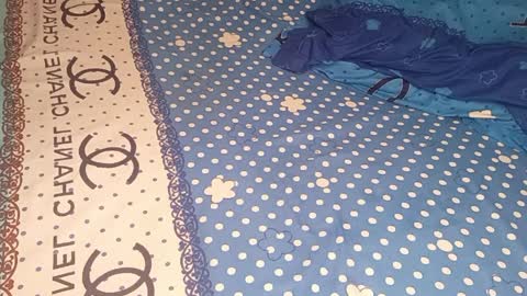 bossetassy online show from 04.09.26