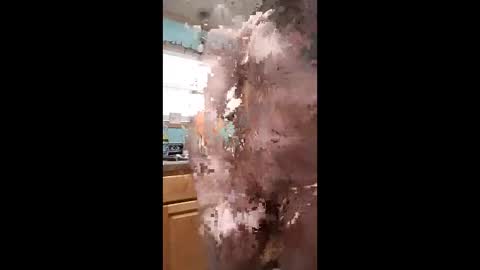 Snapshot of bossusaround chatting on 01.11.26 bossusaround online show from 01.11.26