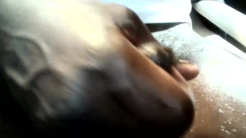 Snapshot of botofogo chatting on 01.19.26 botofogo online show from 01.19.26