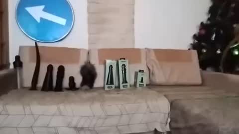 Bes7assquirt online show from 02.22.25