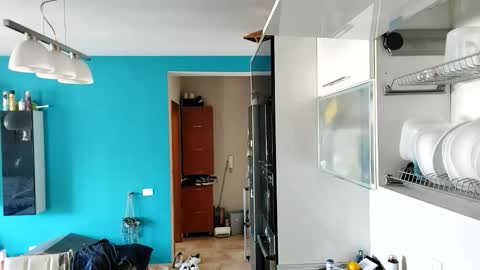 Dan online show from 09.13.25