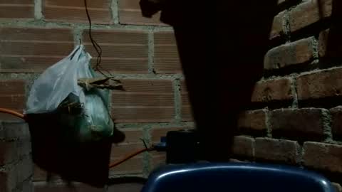 Boy online show from 10.07.25