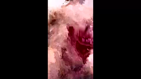 bracka100 online show from 02.09.26