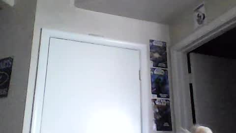 i am a naughty jedi knight online show from 06.15.26