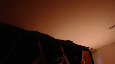 Brandy online show from 02.20.25