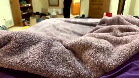 brandondot online show from 12.16.24