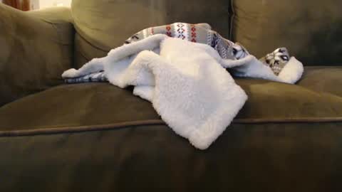 brandondot online show from 12.31.24