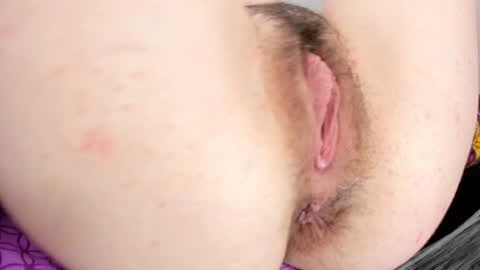 brandy online show from 01.08.25